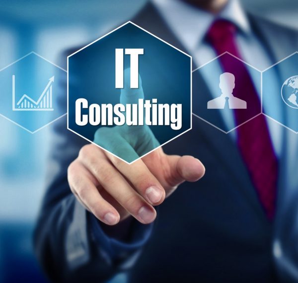 IT Consulting Service Package