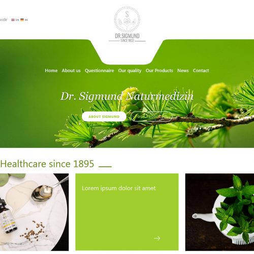 home-o.jpg Dr. Sigmund - Wordpress Theme